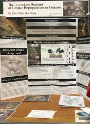 EllaScienceFair2017poster